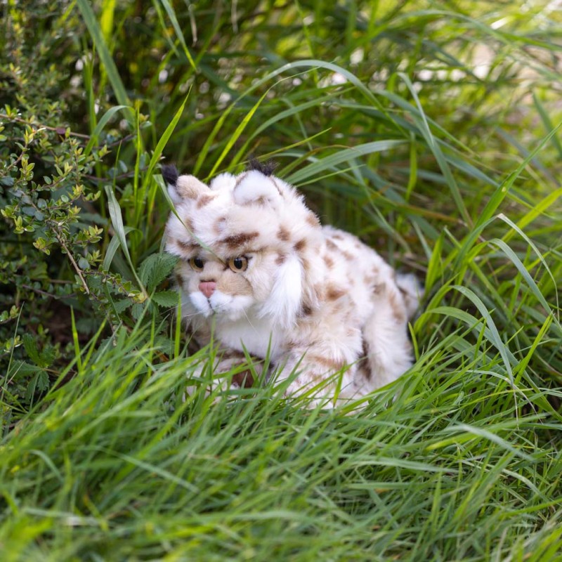 Petite peluche lynx - Achetez à Saint-Claude